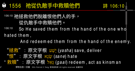 A presentation slide with Chinese and English text about faith and law, along with Greek word roots.