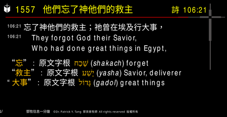 A presentation slide with Chinese and English text about faith and law, along with Greek word roots.