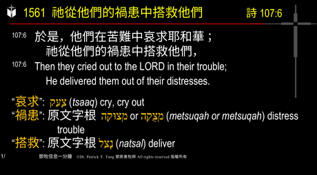 A presentation slide with Chinese and English text about faith and law, along with Greek word roots.