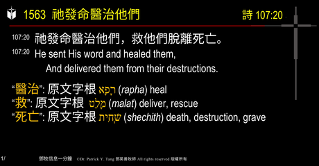 A presentation slide with Chinese and English text about faith and law, along with Greek word roots.