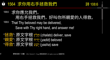 A presentation slide with Chinese and English text about faith and law, along with Greek word roots.