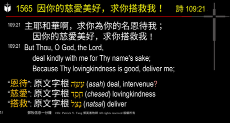 A presentation slide with Chinese and English text about faith and law, along with Greek word roots.