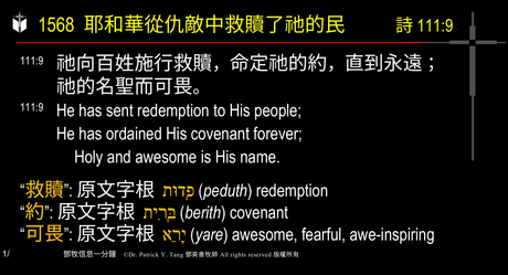 A presentation slide with Chinese and English text about faith and law, along with Greek word roots.