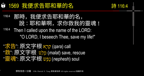 A presentation slide with Chinese and English text about faith and law, along with Greek word roots.