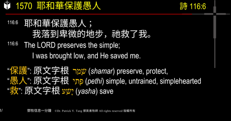 A presentation slide with Chinese and English text about faith and law, along with Greek word roots.