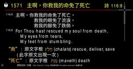 A presentation slide with Chinese and English text about faith and law, along with Greek word roots.