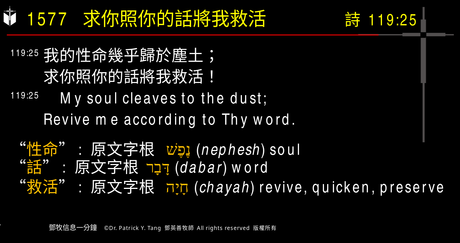 A presentation slide with Chinese and English text about faith and law, along with Greek word roots.