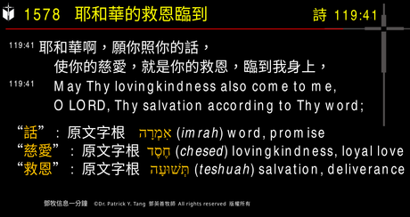 A presentation slide with Chinese and English text about faith and law, along with Greek word roots.
