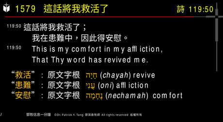 A presentation slide with Chinese and English text about faith and law, along with Greek word roots.