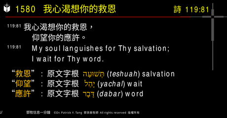 A presentation slide with Chinese and English text about faith and law, along with Greek word roots.