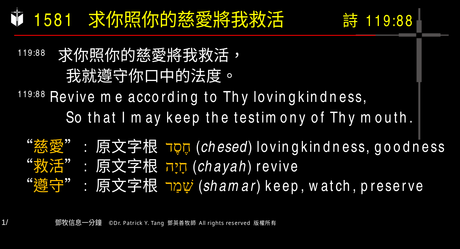 A presentation slide with Chinese and English text about faith and law, along with Greek word roots.