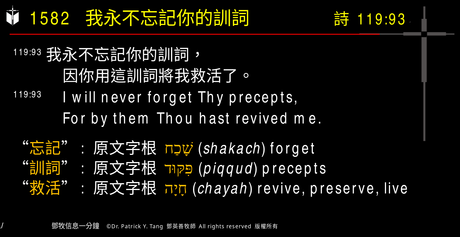 A presentation slide with Chinese and English text about faith and law, along with Greek word roots.