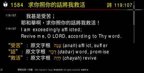A presentation slide with Chinese and English text about faith and law, along with Greek word roots.