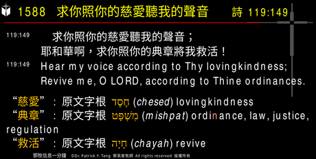 A presentation slide with Chinese and English text about faith and law, along with Greek word roots.