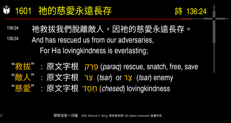 A presentation slide with Chinese and English text about faith and law, along with Greek word roots.