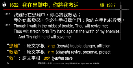 A presentation slide with Chinese and English text about faith and law, along with Greek word roots.