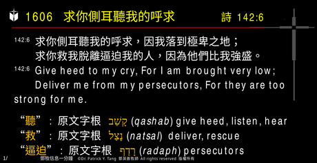 A presentation slide with Chinese and English text about faith and law, along with Greek word roots.