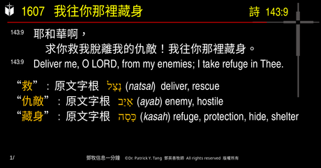 A presentation slide with Chinese and English text about faith and law, along with Greek word roots.