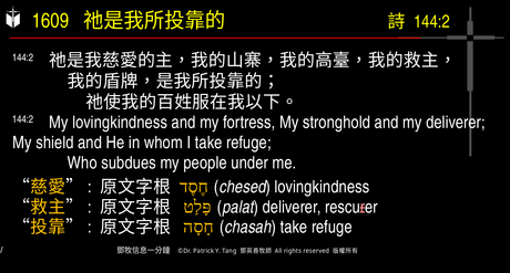 A presentation slide with Chinese and English text about faith and law, along with Greek word roots.