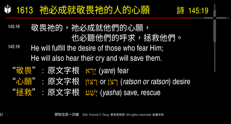 A presentation slide with Chinese and English text about faith and law, along with Greek word roots.