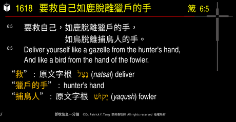 A presentation slide with Chinese and English text about faith and law, along with Greek word roots.
