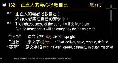 A presentation slide with Chinese and English text about faith and law, along with Greek word roots.