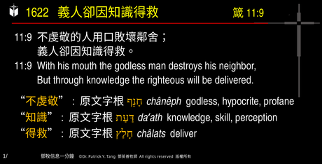 A presentation slide with Chinese and English text about faith and law, along with Greek word roots.