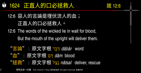 A presentation slide with Chinese and English text about faith and law, along with Greek word roots.