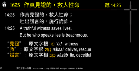A presentation slide with Chinese and English text about faith and law, along with Greek word roots.