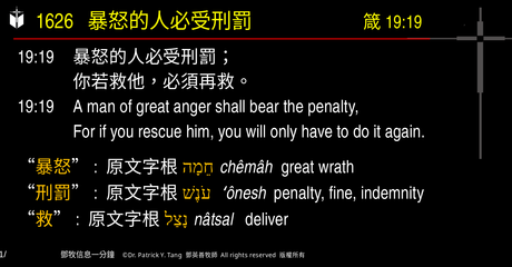 A presentation slide with Chinese and English text about faith and law, along with Greek word roots.