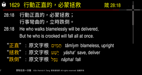 A presentation slide with Chinese and English text about faith and law, along with Greek word roots.