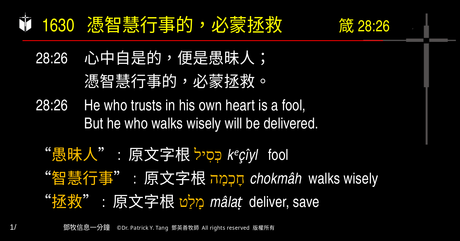 A presentation slide with Chinese and English text about faith and law, along with Greek word roots.