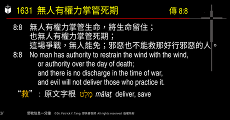 A presentation slide with Chinese and English text about faith and law, along with Greek word roots.