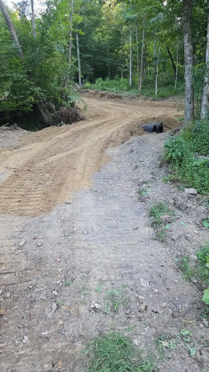 Dirt road curving through a wooded area beside a gravel shoulder and trees