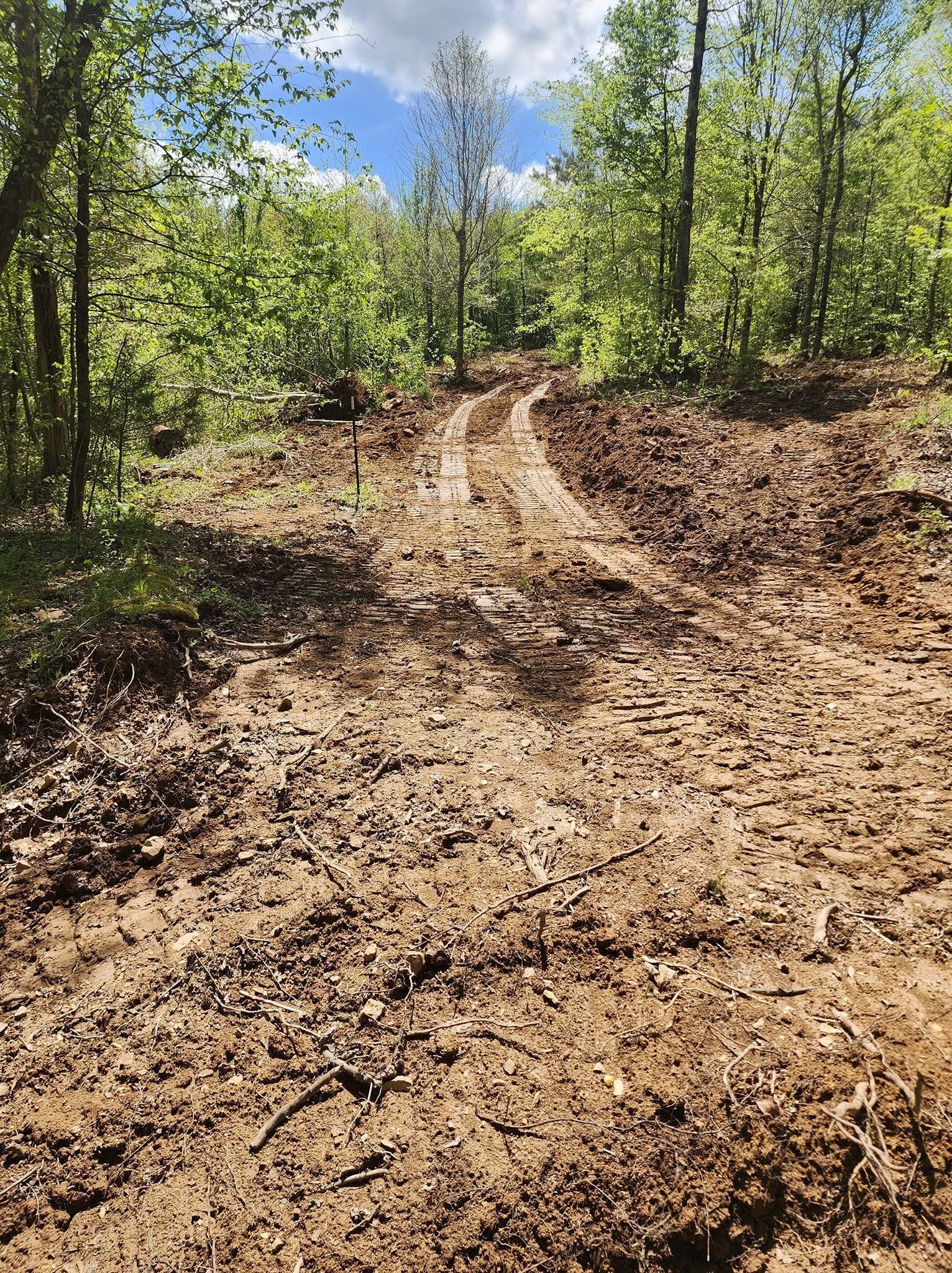 Dirt trail winding uphill through a leafy green forest under a blue sky