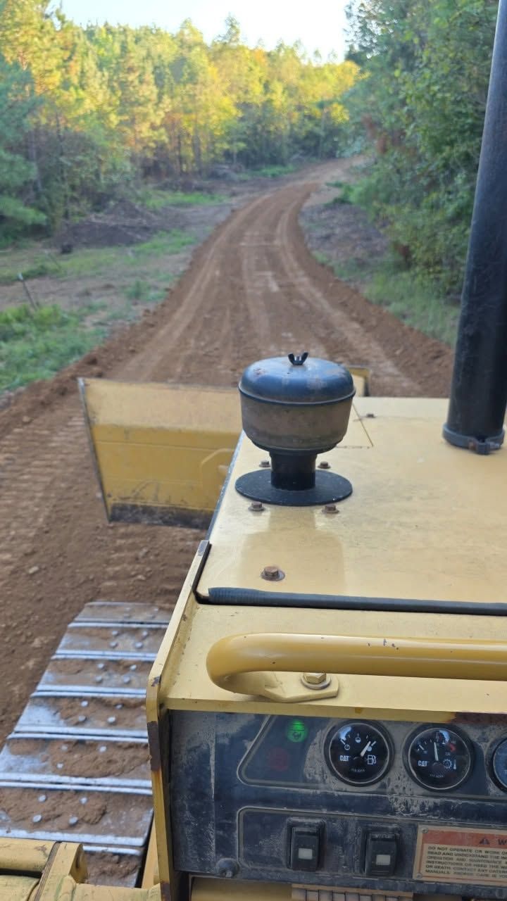 View from a yellow off-road vehicle driving on a dirt forest trail