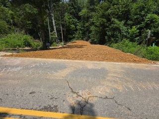 Fresh wood chips piled along a roadside beside trees and greenery