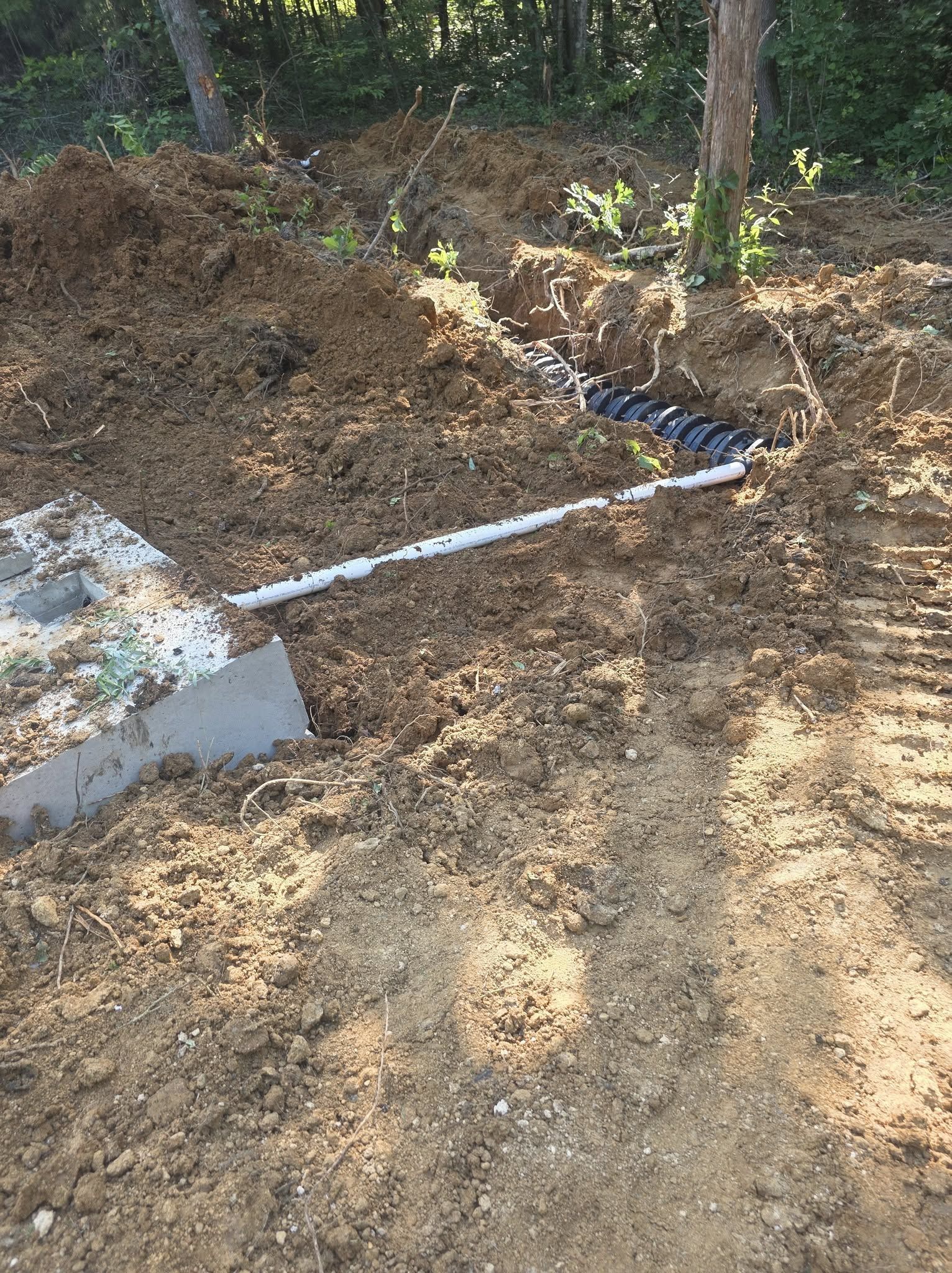 White PVC pipe laid across a dirt trench in a wooded area, with a white pipe fitting at left.
