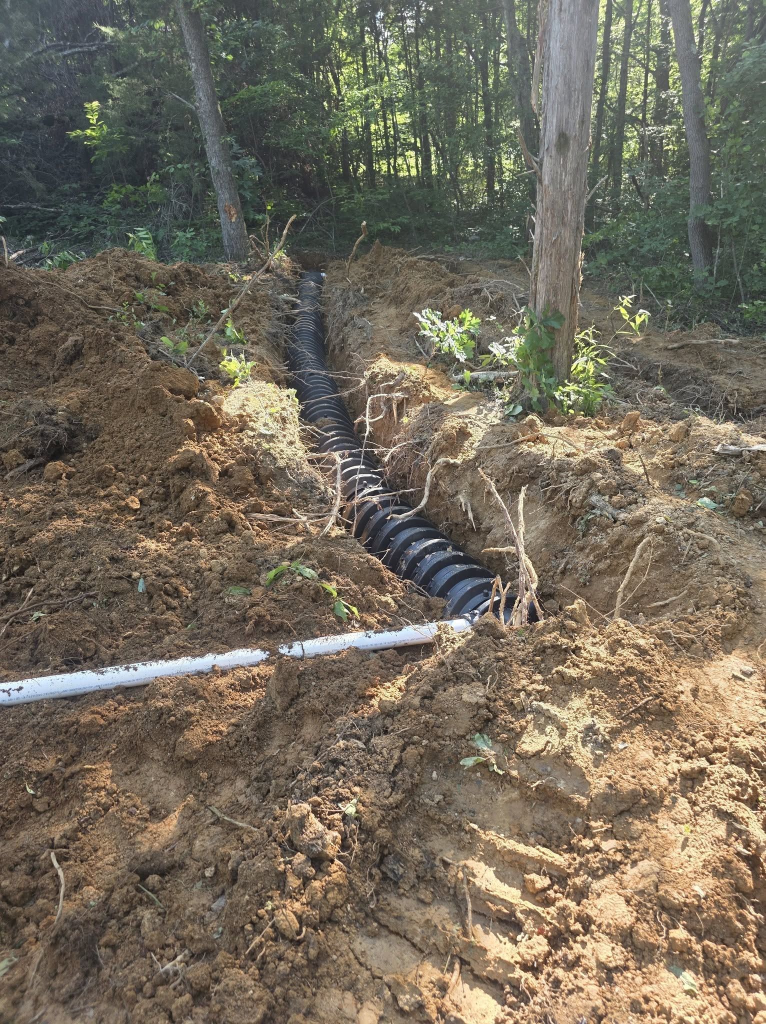 Black drainage pipe laid in a dirt trench on a wooded hillside with a white pipe crossing it.