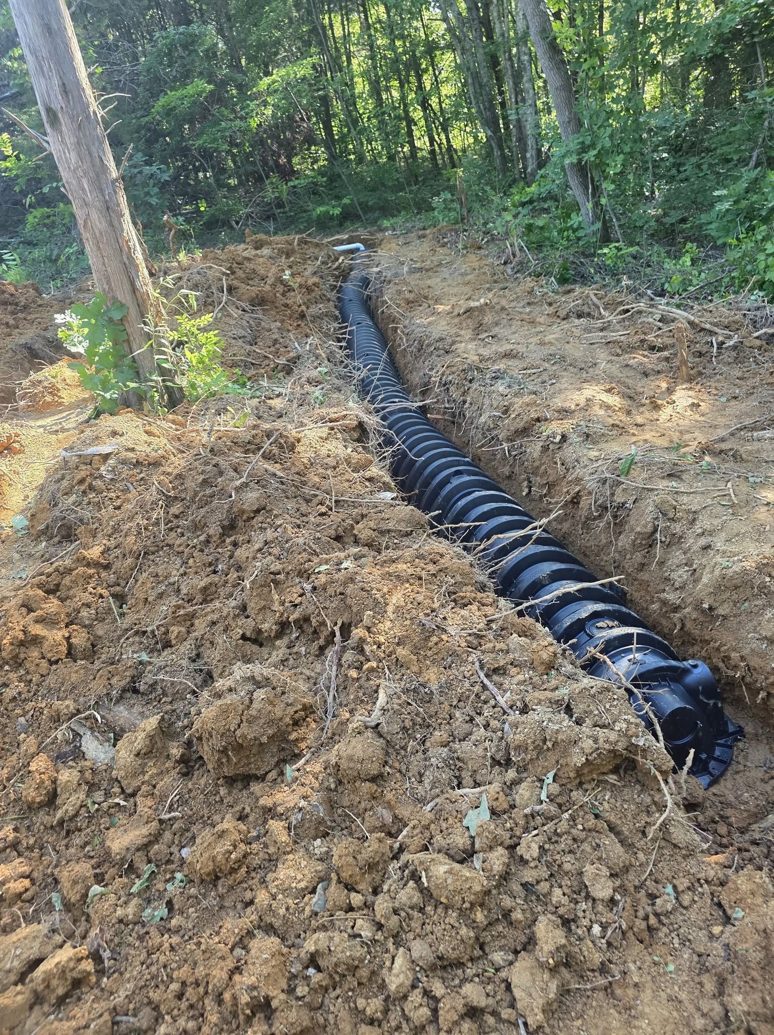Black corrugated pipe laid in a dirt trench through a wooded area