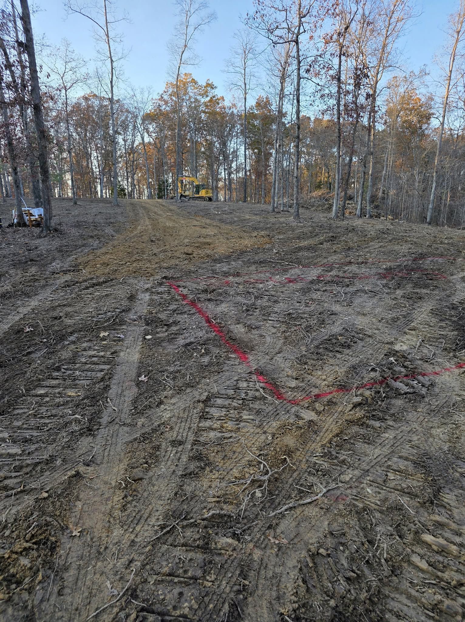 Dirt trail through a sparse autumn forest, marked with a red line on the ground.