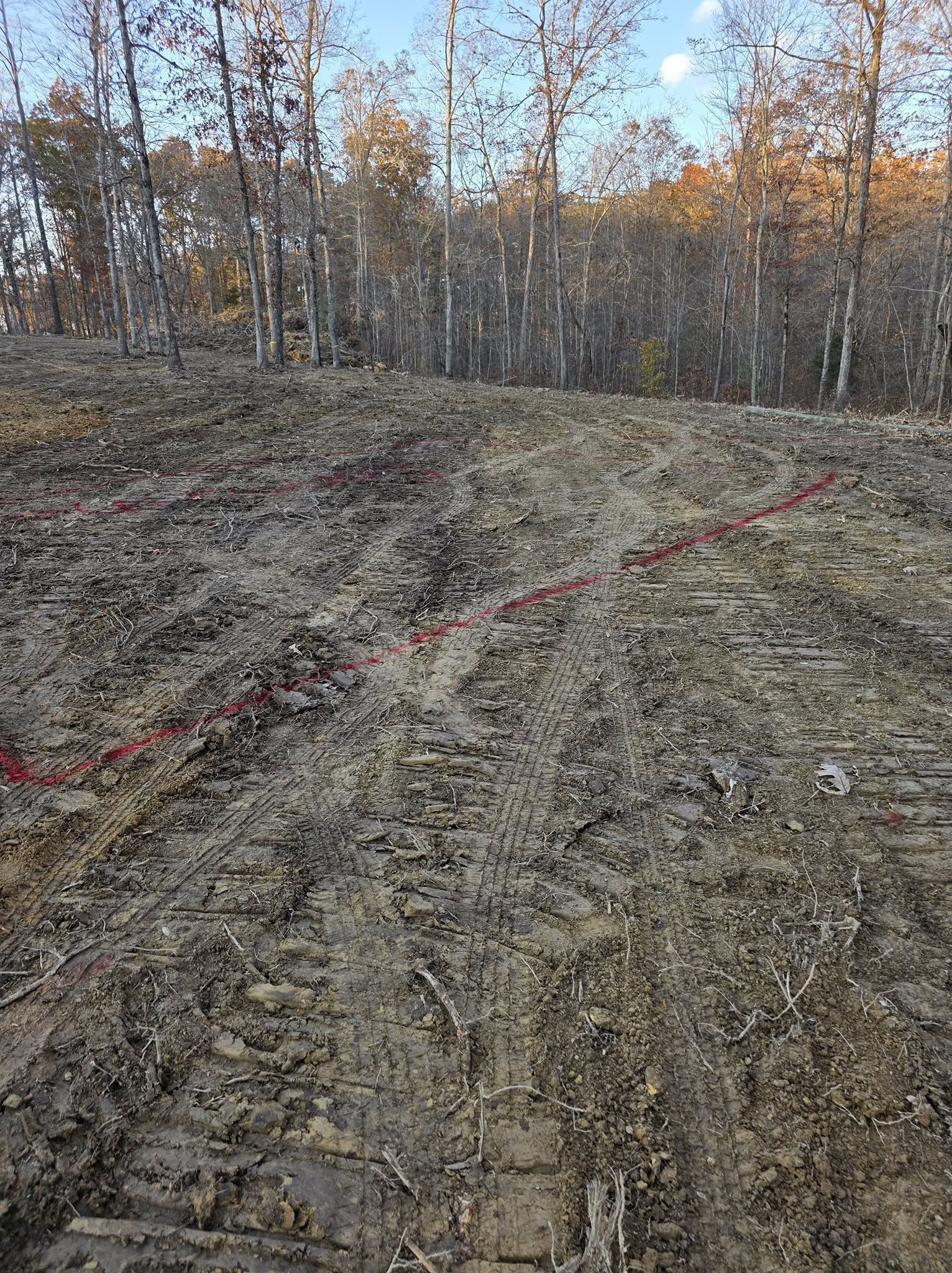 Muddy dirt trail in a sparse autumn forest, marked by red tape or rope.