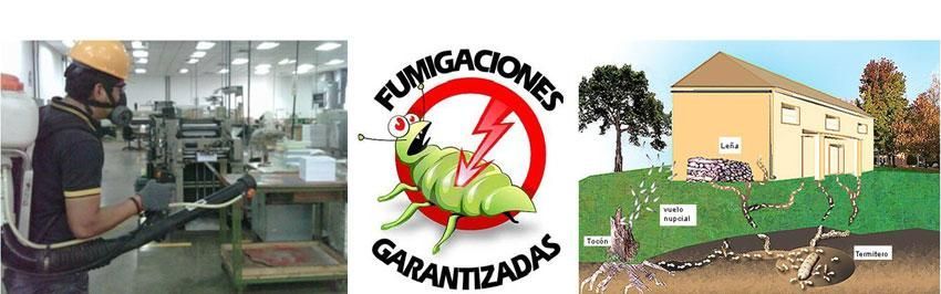 FUMIGACIONES LA RED FUMIGACIONES LA RED