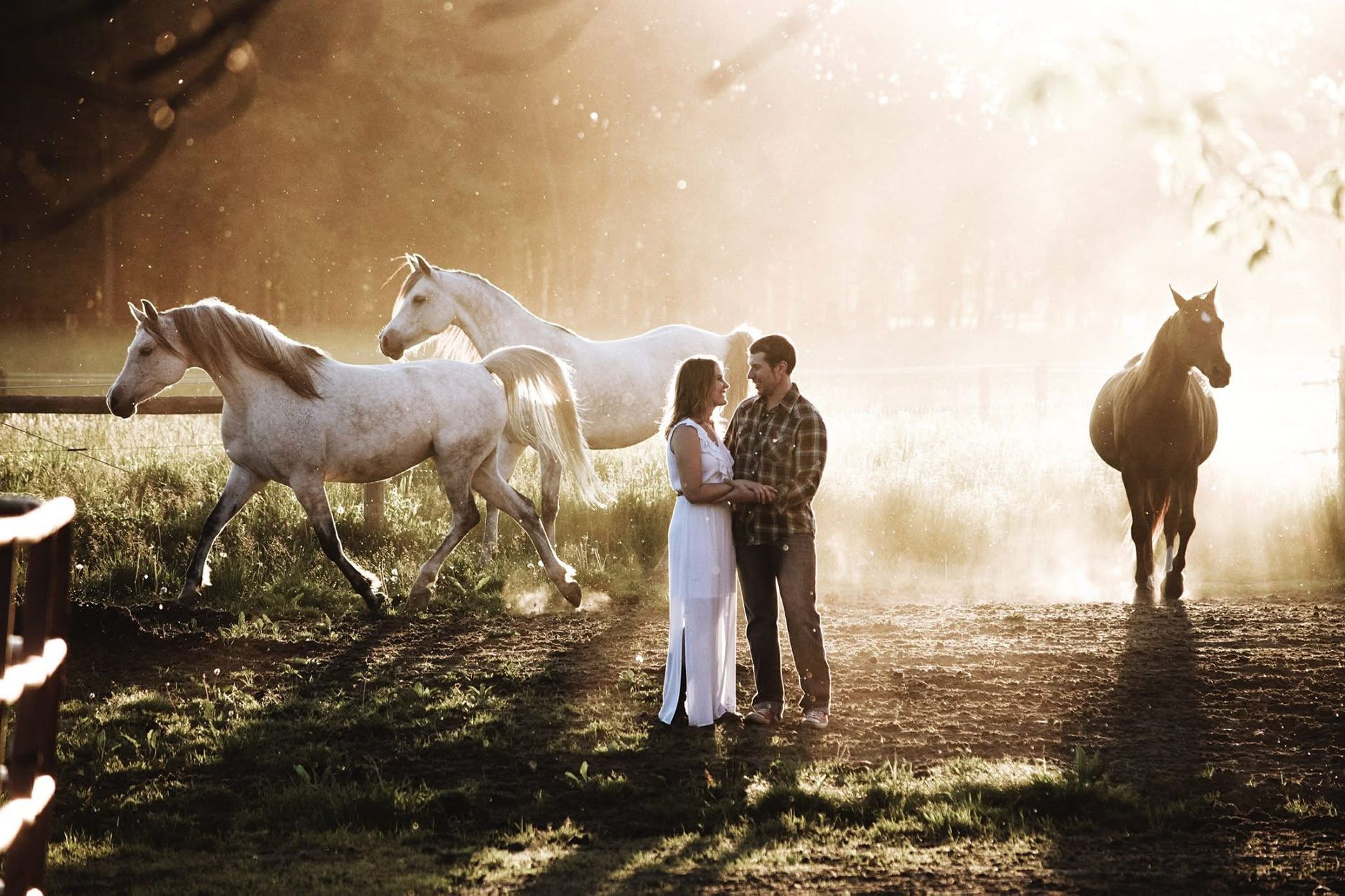 A man and woman are standing in front of a herd of horses.