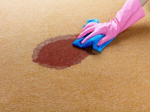 A person wearing pink gloves is cleaning a stain on a carpet.