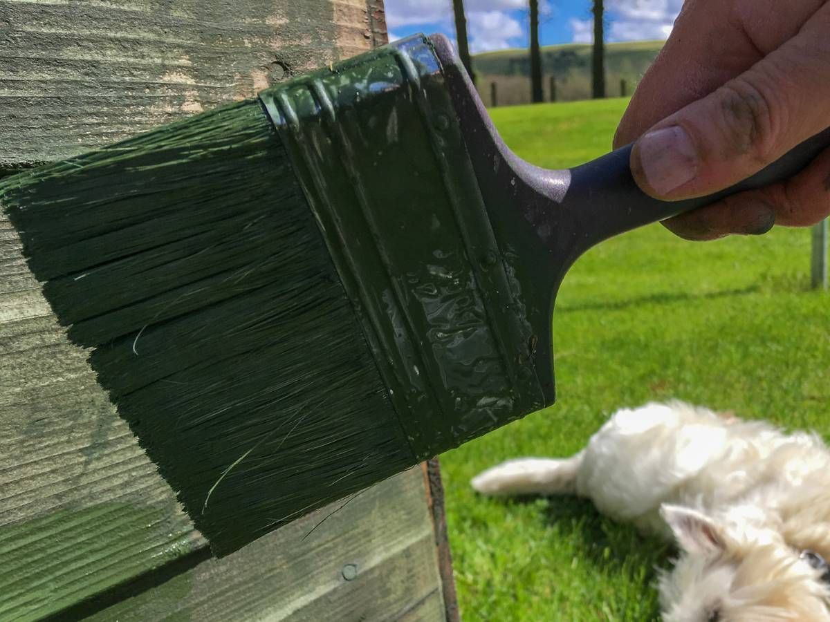 Nottingham Fencing painting a shed