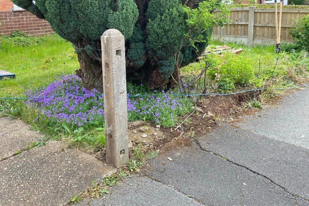 Hedge removed ready for Nottingham Fencing to install a new fence in Aspley