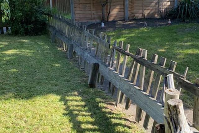 A collapsed and broken timber fence lying across a garden boundary in Top Valley before replacement