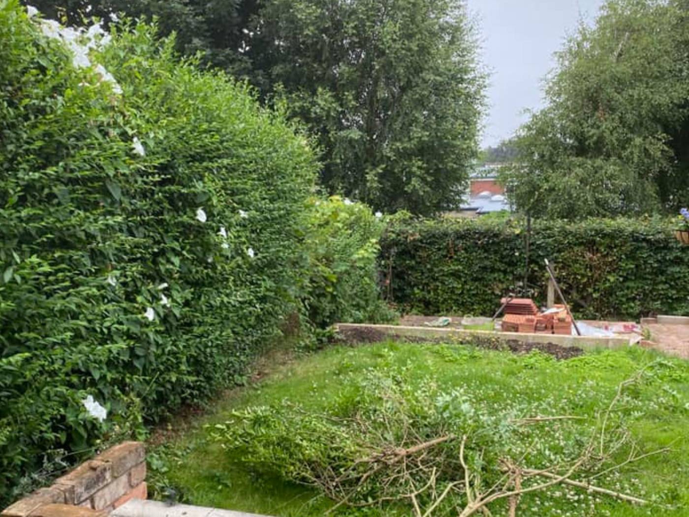 Nottingham Fencing hedge requiring removal