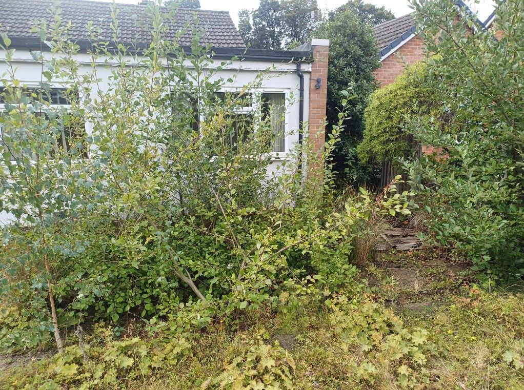 Before clearing all the green waste from the front garden of this client in Woodthorpe, Nottingham